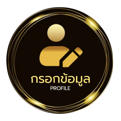 โปรไฟล์ solo max-level newbie แปลไทย