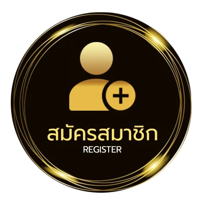 สมัครฟรี solo max-level newbie แปลไทย ใน 1 นาที